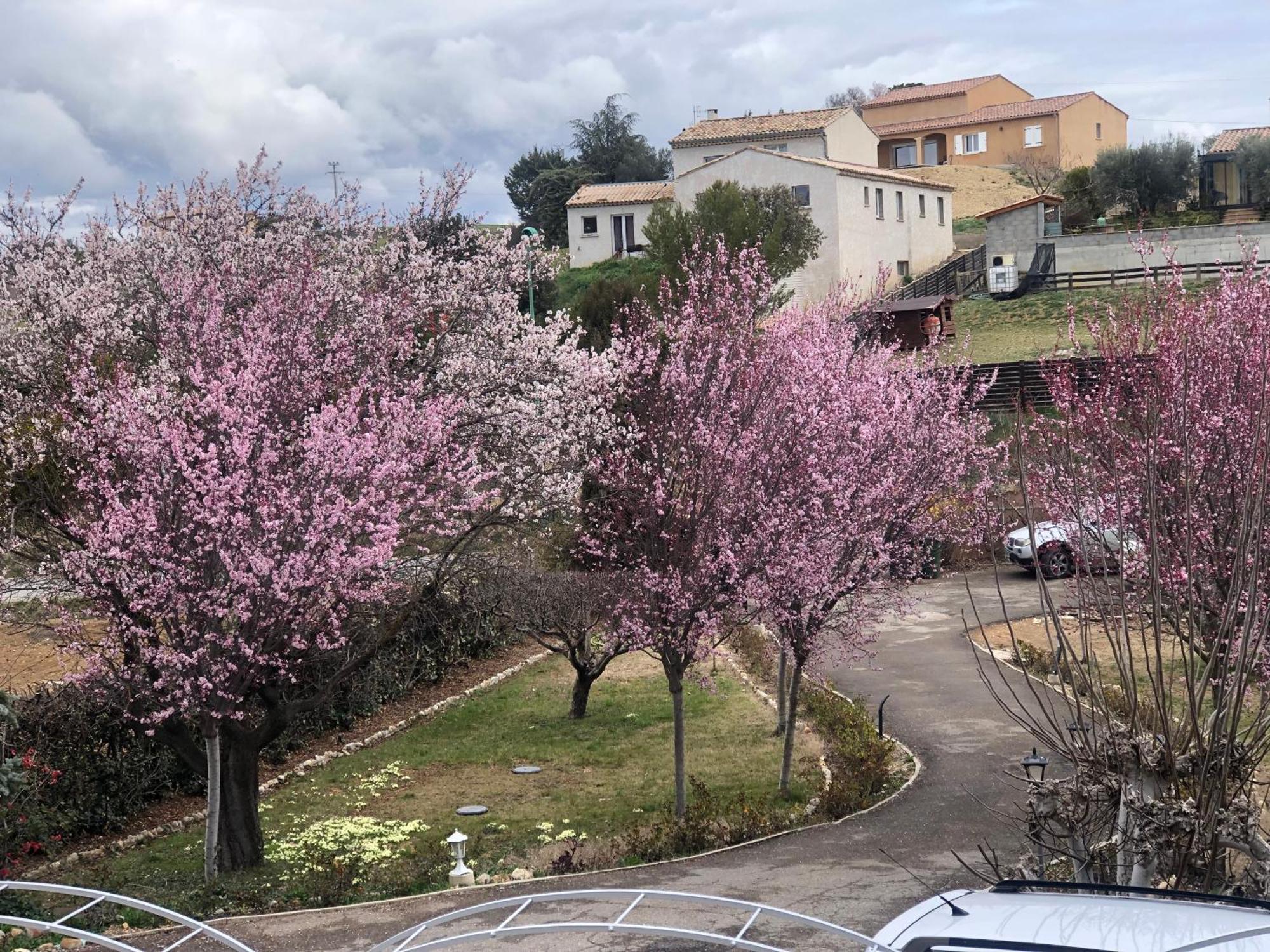 Chambres D'Hotes Marylou Valensole Εξωτερικό φωτογραφία
